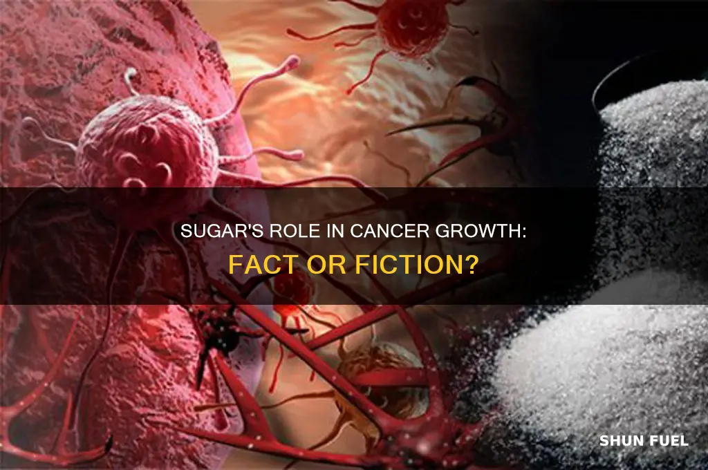 can sugar fuel cancer