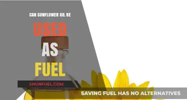 Sunflower Oil as Fuel: A Viable Alternative Energy Source?