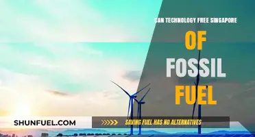Singapore's Green Future: Technology vs Fossil Fuels
