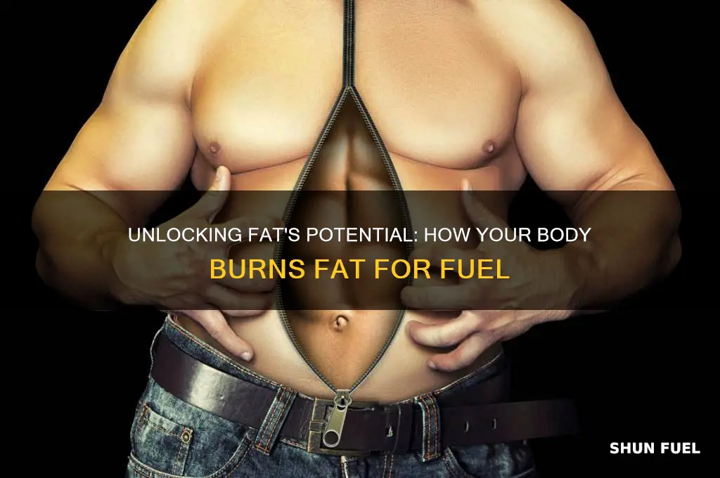 can the body use fat as a fuel