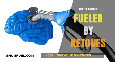 Ketones as Brain Fuel: Unlocking Cognitive Potential Beyond Glucose