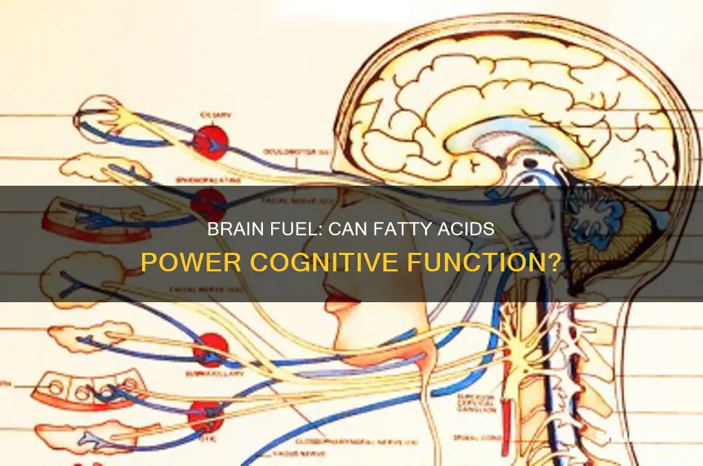 can the brain run on fatty acids as fuel
