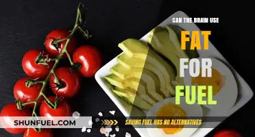 Brain Fuel: Can Ketones Replace Glucose for Optimal Function?