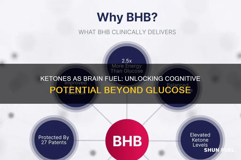 can the brain use ketone as fuel