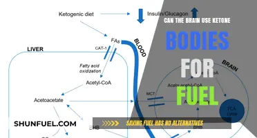 Ketone Bodies as Brain Fuel: Unlocking Alternative Energy Sources