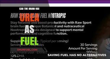 Can the Brain Utilize Urea as an Alternative Fuel Source?