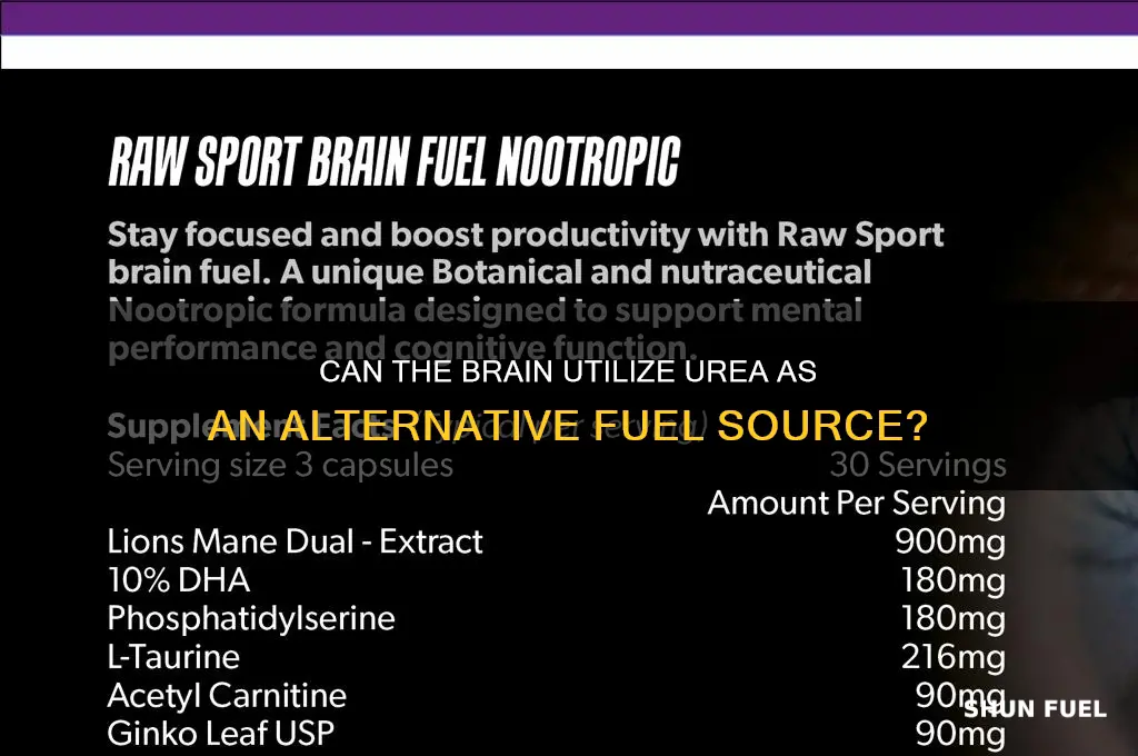 can the brain use urea as fuel