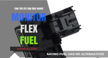 BTI CAN Bus Gauge: Flex Fuel Monitoring Capabilities Explained