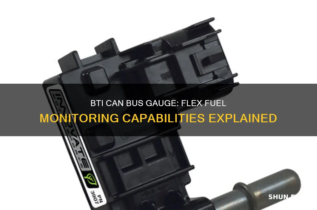 can the bti can bus gauge monitor flex fuel