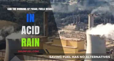 Fossil Fuels and Acid Rain: Unraveling the Environmental Connection