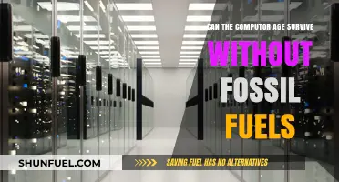 The Future of Computing: Beyond Fossil Fuels