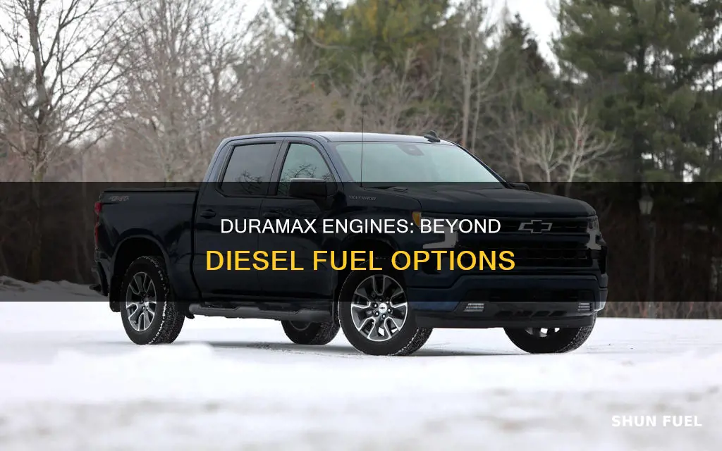 can the duramax run other fuels than diesel