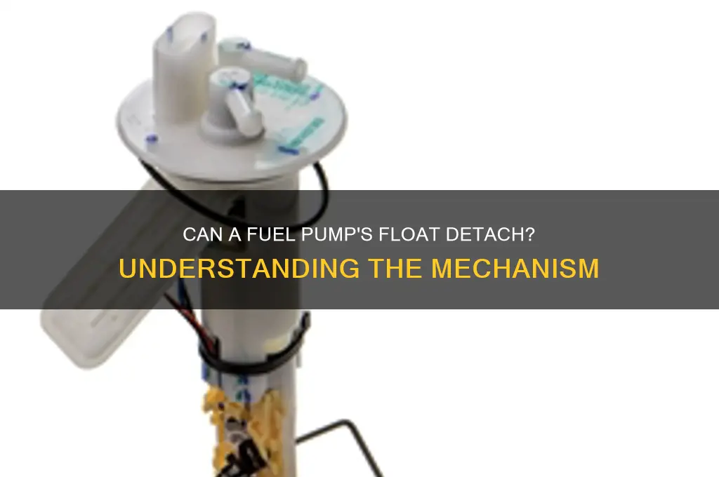 can the float come off a fuel pump