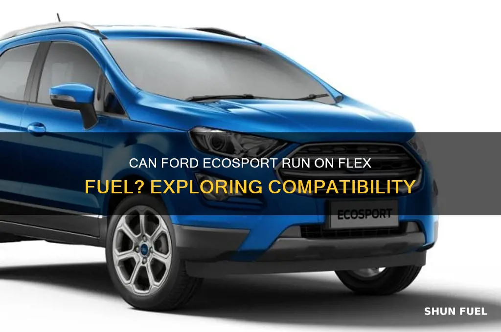 can the ford ecosport use flex fuel