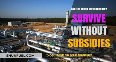 The Fossil Fuel Industry: Surviving Without Subsidies?