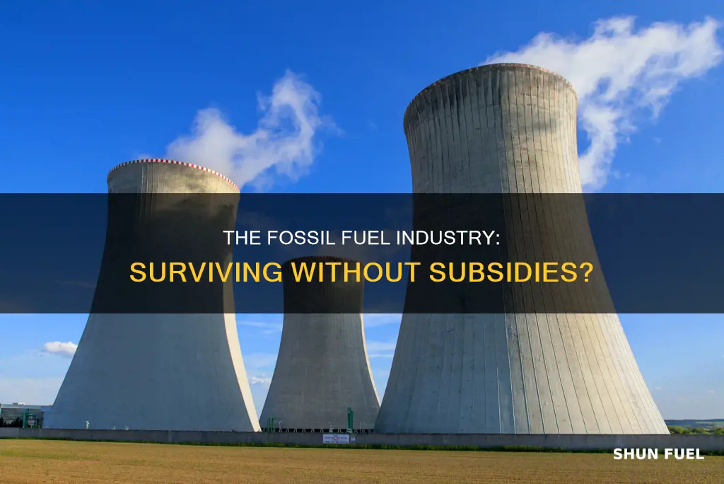 can the fossil fuels industry survive without subsidies