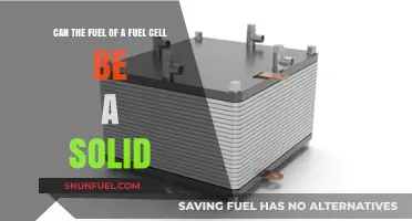 Solid Fuel for Fuel Cells: A Viable Alternative?