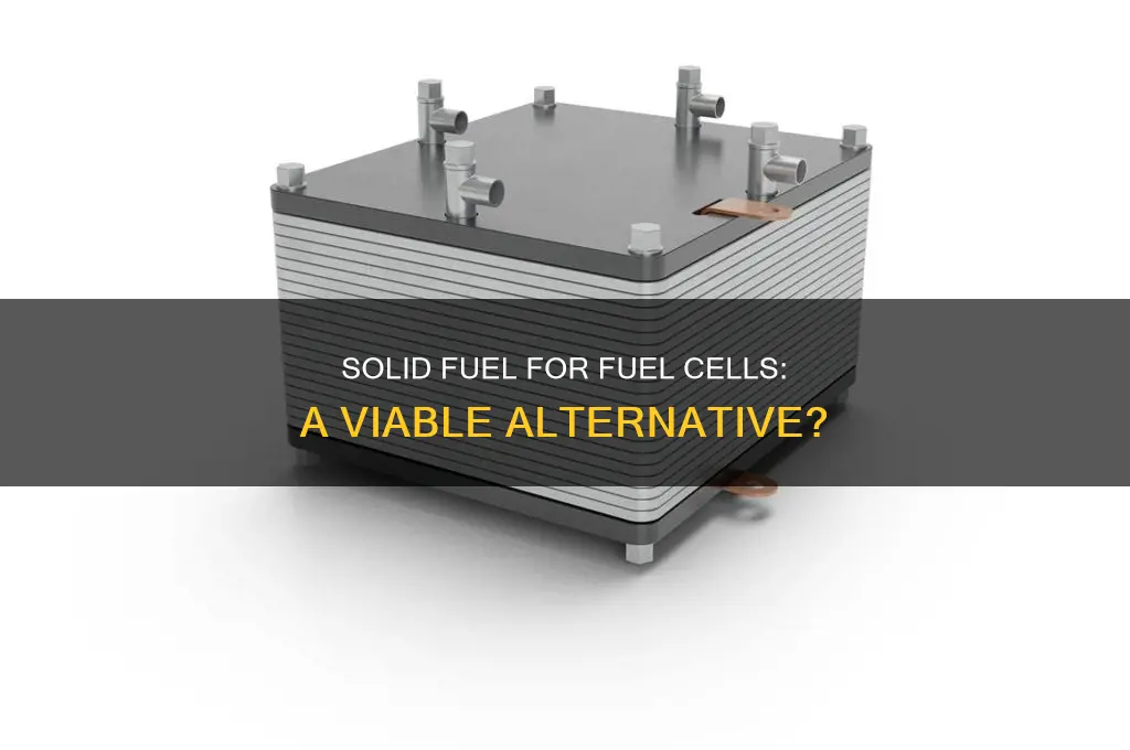 can the fuel of a fuel cell be a solid