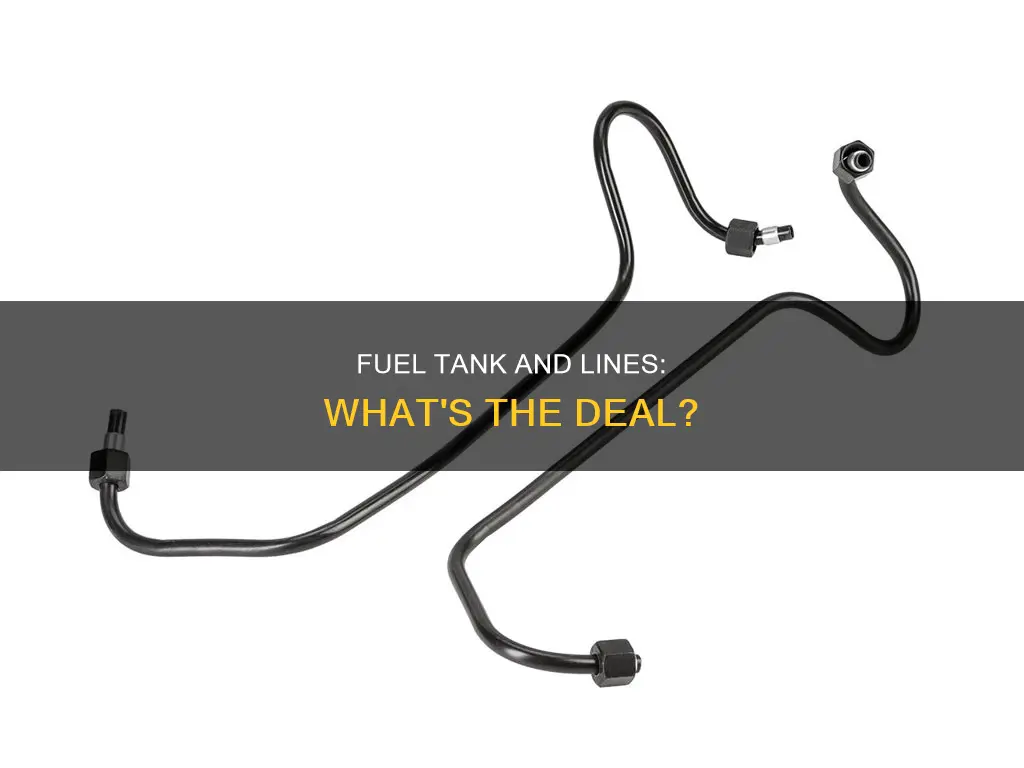 can the fuel tank fuel lines on a on a