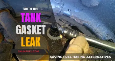 Fuel Tank Gasket Leaks: What You Need to Know