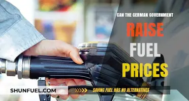 Can Germany's Government Increase Fuel Prices? Policies, Impacts, and Public Reaction