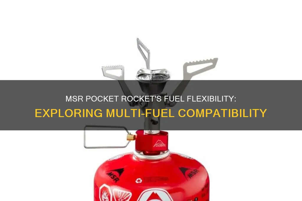 can the msr pocket rocket use multiple types of fuel