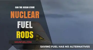 Ocean as Nuclear Fuel Rod Storage: Feasibility and Environmental Concerns