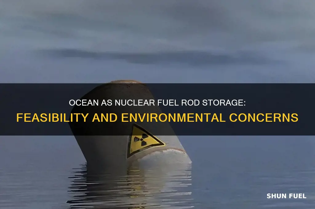 can the ocean store nuclear fuel rods