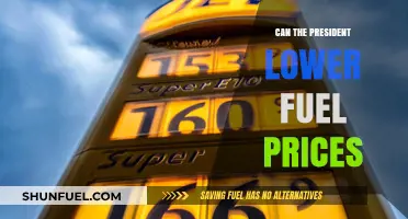 Can the President Lower Fuel Prices? Exploring Presidential Powers and Limitations