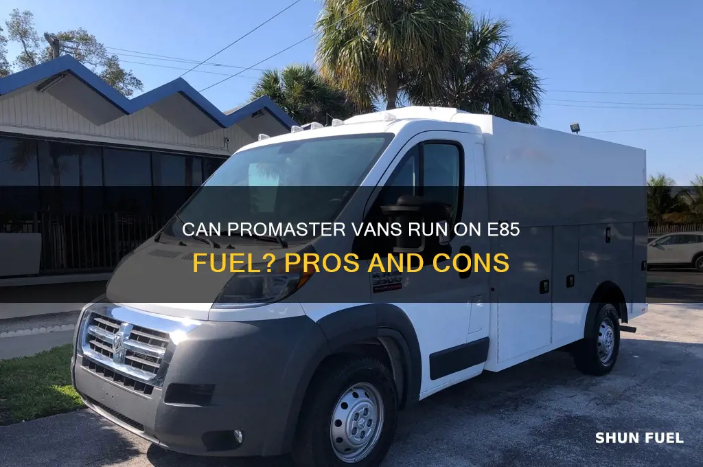 can the promaster van run on e85 fuel