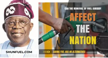 Fuel Subsidy Removal: Economic Impact and National Consequences Explored