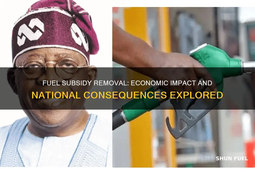 can the removal of fuel subsidy affect the nation