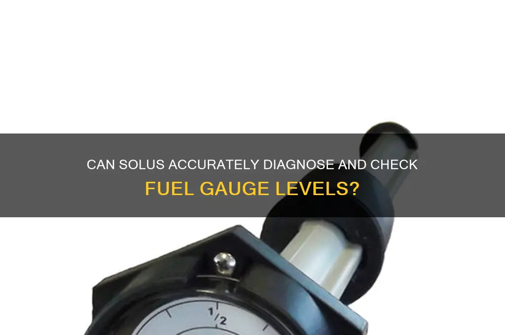can the solus check fuel gauges