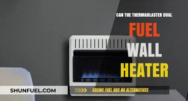 Thermablaster Dual Fuel Wall Heater: Efficiency, Performance, and Cost Analysis