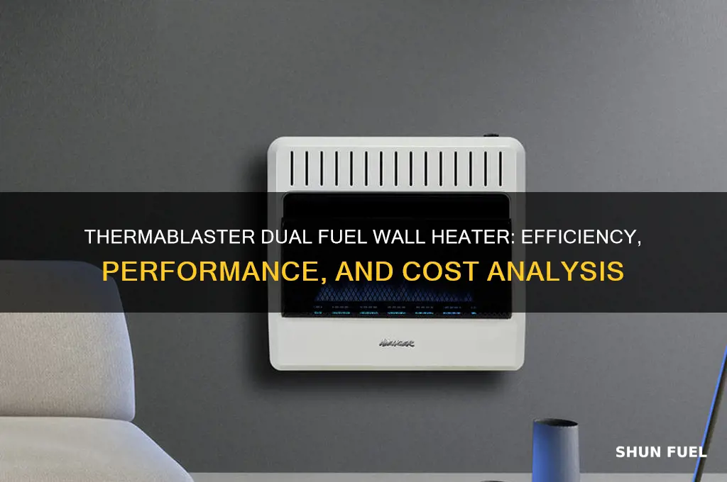 can the thermablaster dual fuel wall heater