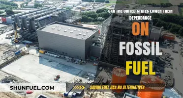 Fossil Fuel Free: A Green Future for the US