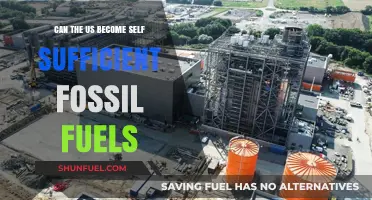 Self-Sufficiency in Fossil Fuels: Can the US Achieve It?