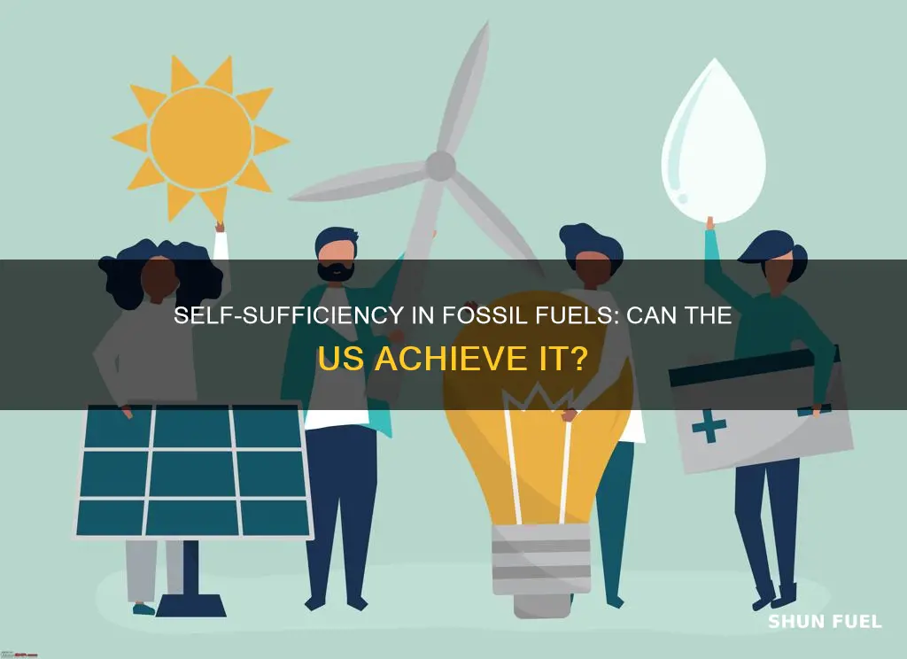 can the us become self sufficient fossil fuels