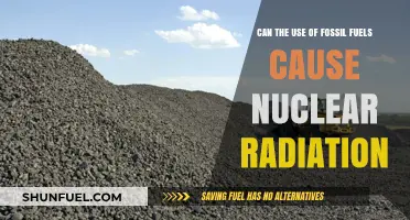 Fossil Fuels: A Nuclear Radiation Risk?