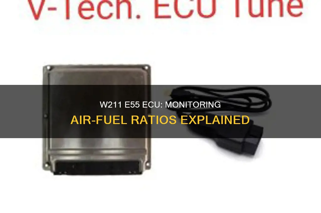 can the w211 e55 ecu monitor air fuel rations