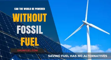 A Fossil-Fuel-Free Future: Is It Possible?