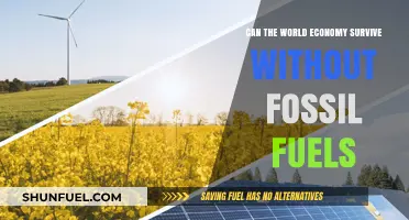 Fossil Fuel-Free Economy: World's Survival Guide