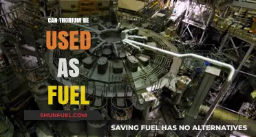 Thorium as Fuel: A Viable Alternative for Nuclear Energy?