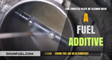Cleaning Throttle Plates: Fuel Additives as a Viable Solution?