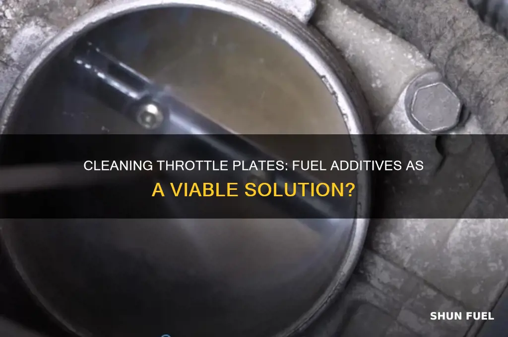 can throttle plate be cleaned with a fuel additive