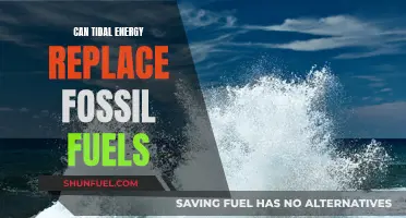 Tidal Energy: A Viable Alternative to Fossil Fuels?