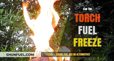 Can Tiki Torch Fuel Freeze? Winter Storage Tips Revealed