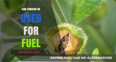 Exploring Tobacco as an Alternative Fuel Source: Pros and Cons