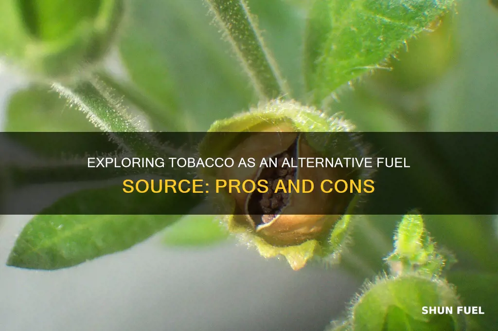 can tobacco be used for fuel