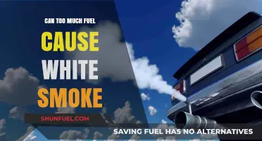 Excess Fuel and White Smoke: What's the Link?